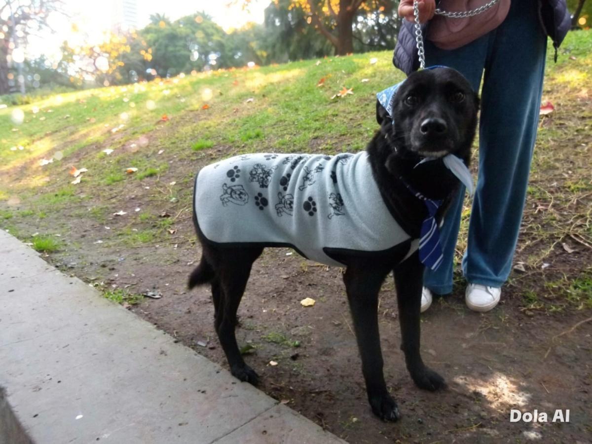 PONCHO