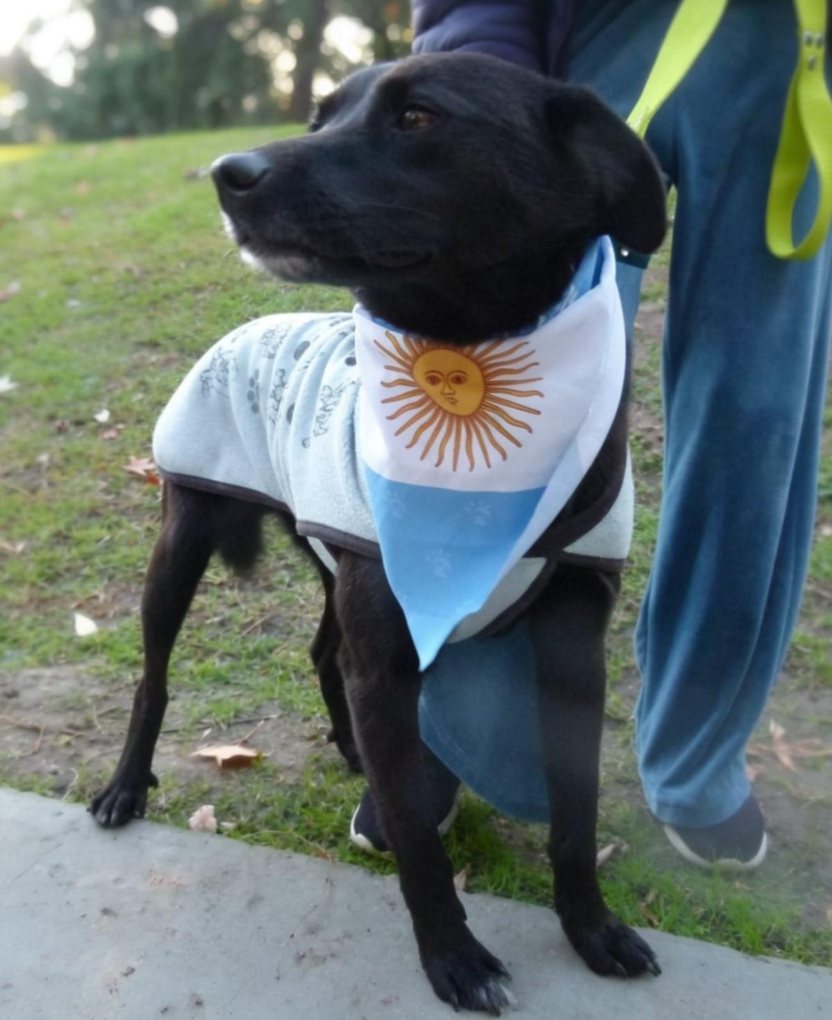 PONCHO