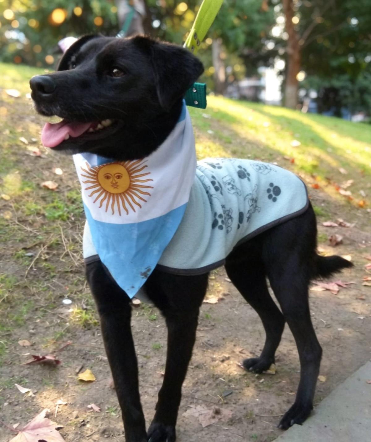 PONCHO