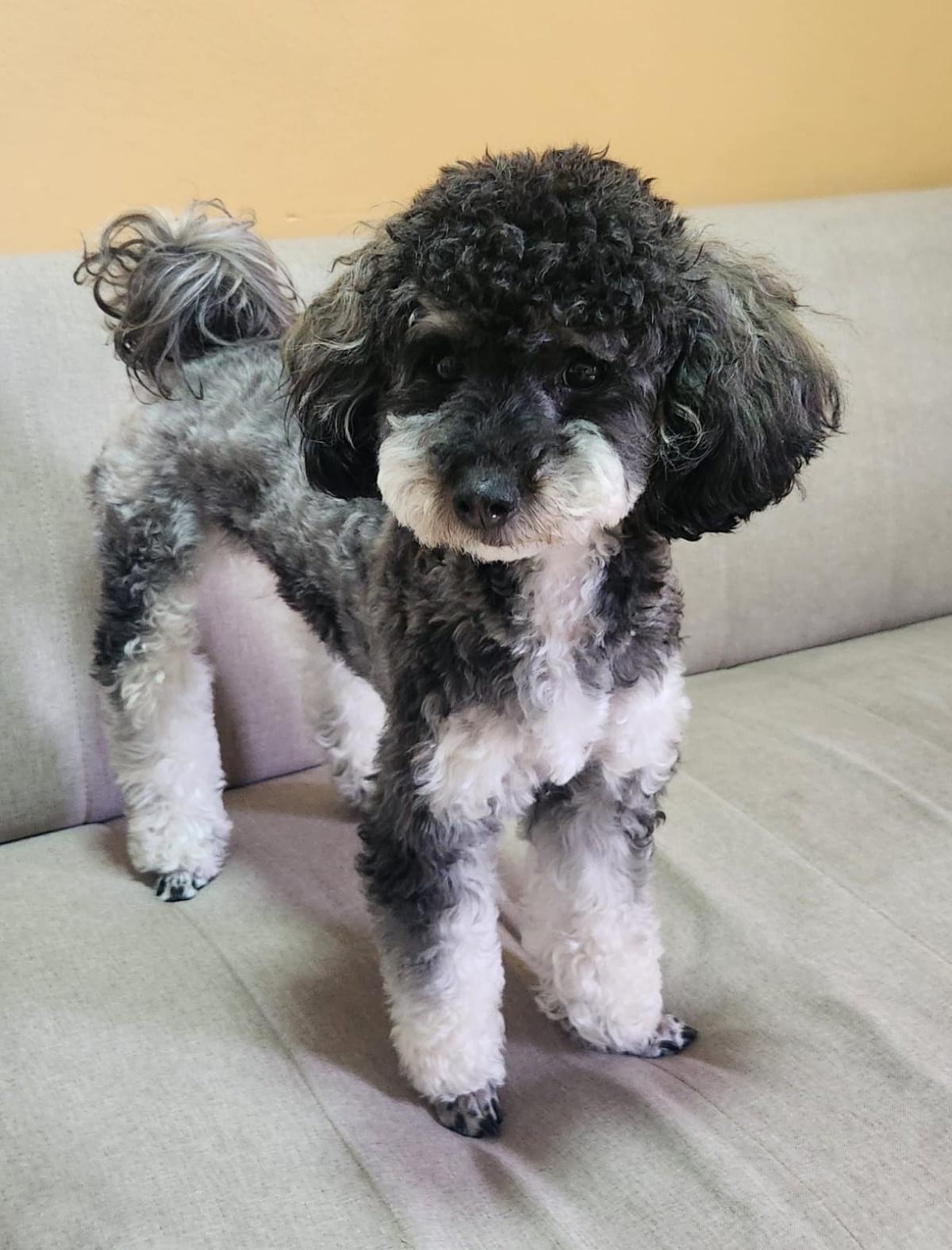 TITA 