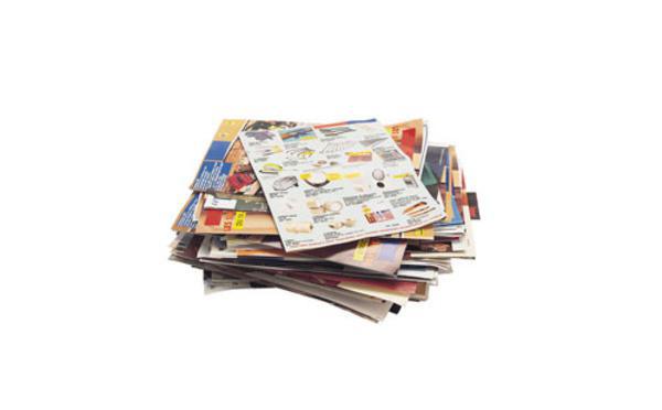 Prospectus