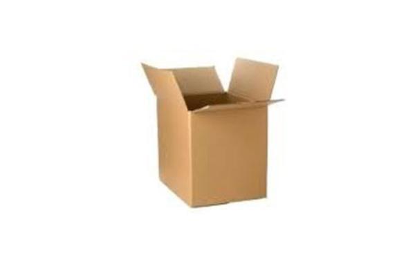 Carton brun