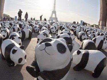Le grand emprunt: le rapport de la commission pour la mi-novembre