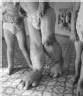 Tchernobyl: le Nouveau Bilan