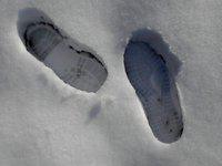 Neige et vagues hors normes