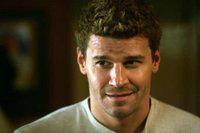 David Boreanaz poursuivi pour harcèlement sexuel