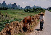 David Cameron en visite en Chine et infos monde
