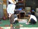 Grippe aviaire en Chine