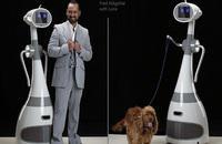L'Actu des nouvelles technologies