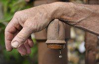 Actu Sciences et Environnement: Le printemps le plus chaud depuis 1900