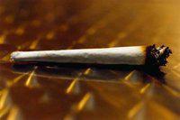 France: légalisation du cannabis et autres actus