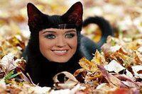 Katy Perry hypnotise ses chats