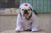 Insolite: la fausse infirmière