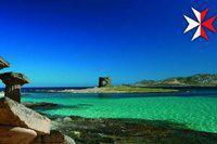 Malta news: political crisis