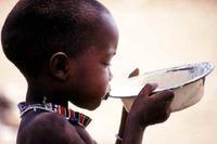 Afrique: actualités sub-sahel