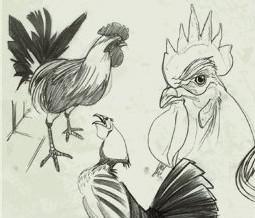 Grippe aviaire: transmission humaine