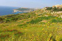 Malta news: nursing posts