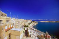 Malta news: Bonnici motion