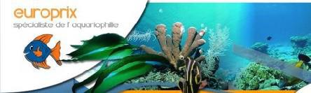Lens (62) : Aquariophilie chez Europrix en France et en Europe