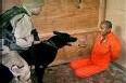 Guantanamo