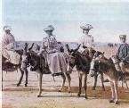 Bourricot and Co