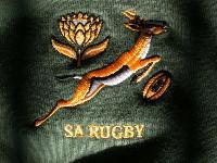 Finale Mondial de rugby: le XV d'Afrique du Sud inchangé contre l'Angleterre
