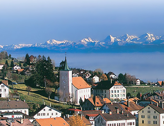Avocat Lausanne ?