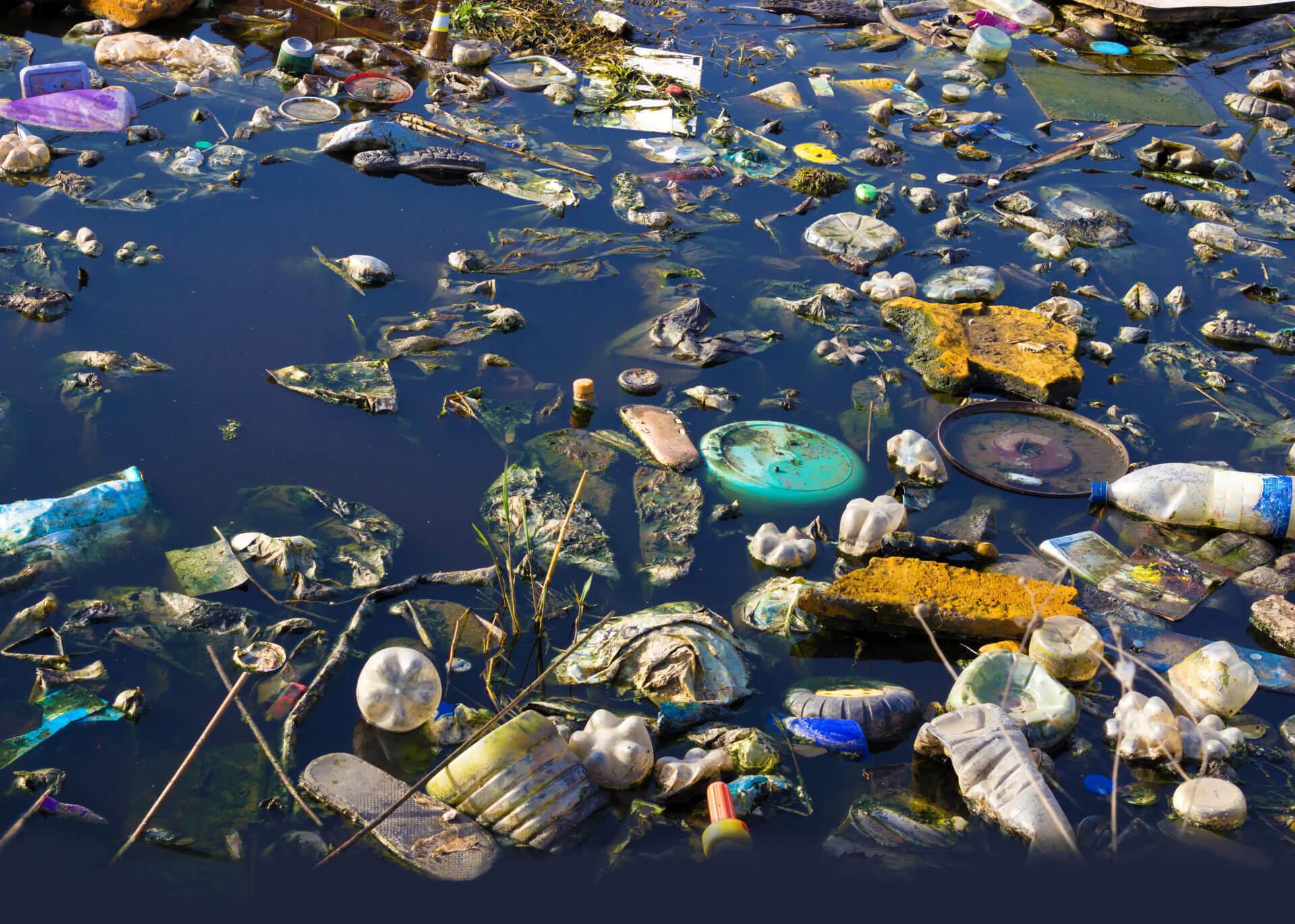 Biodiversité, un rapport consensuel de l'ONU sonne l'alarme