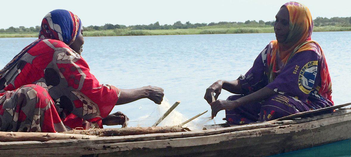 Réchauffement climatique: les populations du Lac Tchad dans la désolation