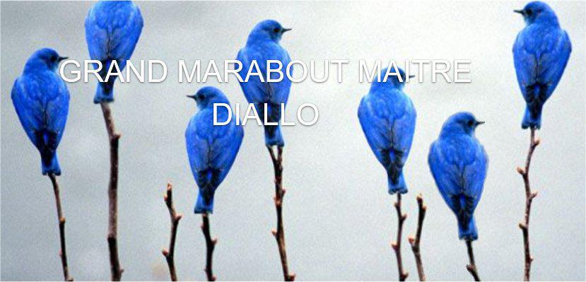 Mr Mohamed Diallo marabout sérieux, compétent et voyant africain Guadeloupe Antilles