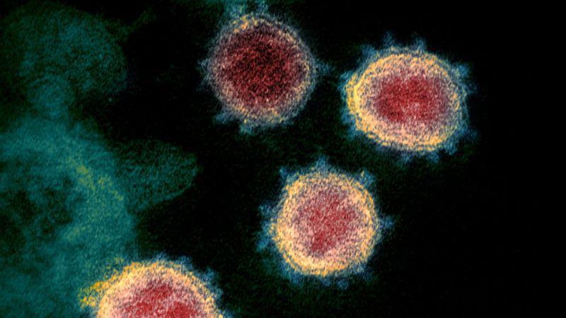 Covid 19: L'OMS se réunit en urgence sur les variants