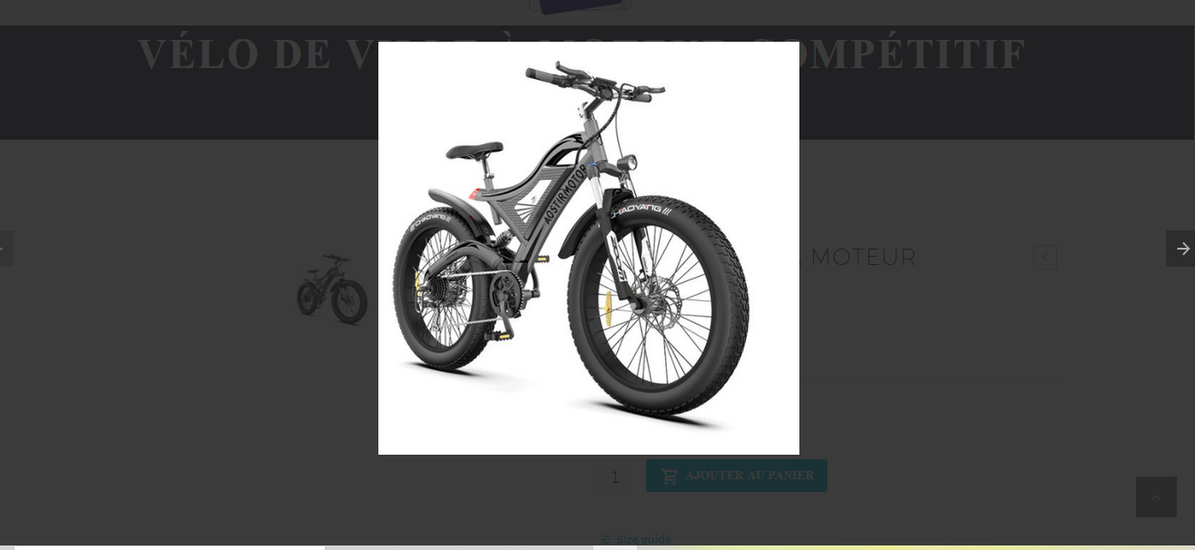 C'est quoi un E Bike ?