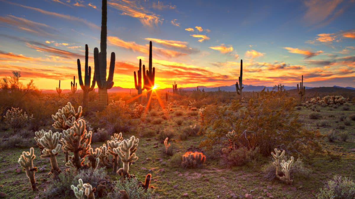 Canicule: 43 corps de migrants retrouvés à la frontière de l'Arizona