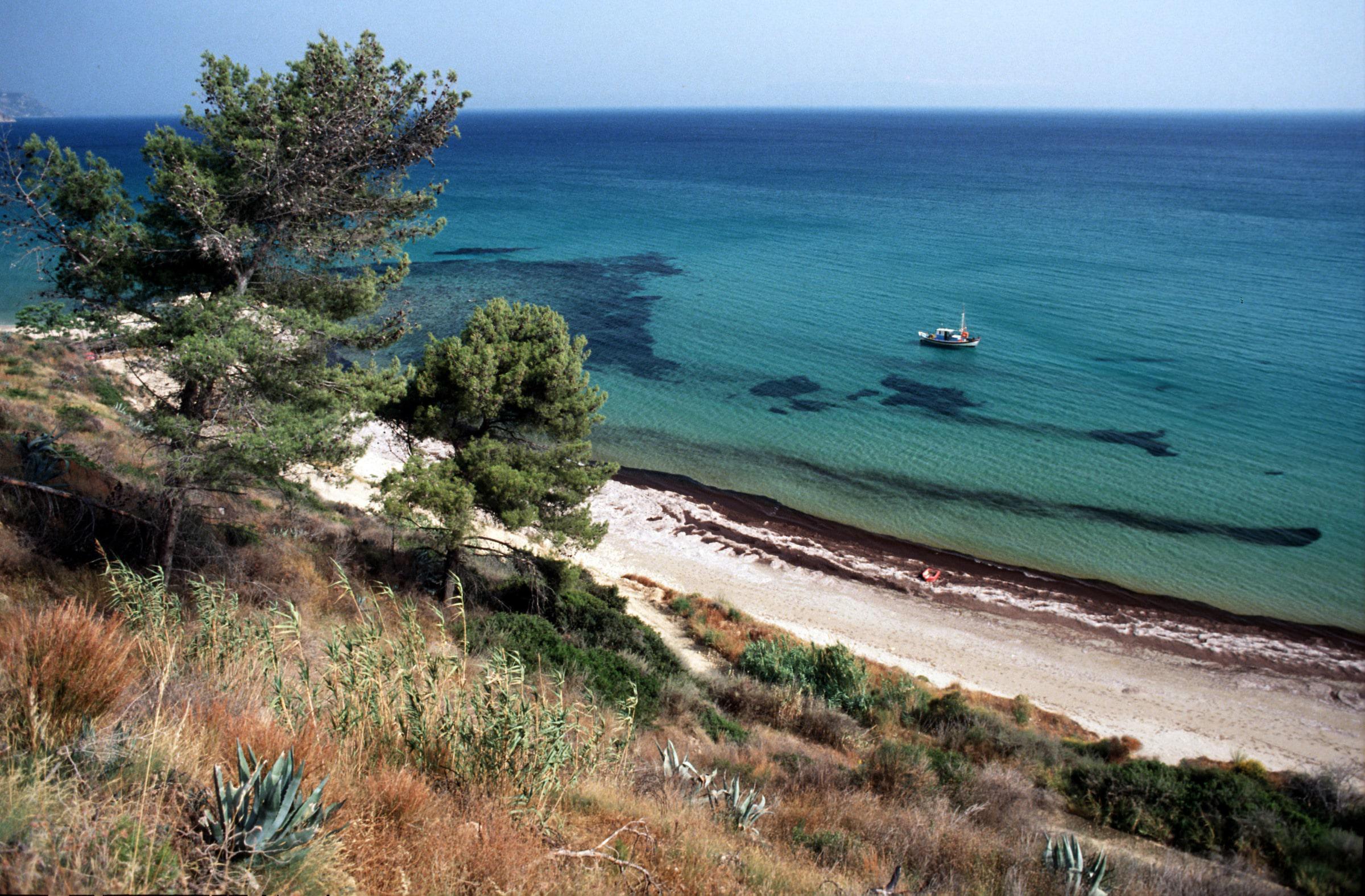 Méditerranée en surchauffe : quelles menaces sur la biodiversité marine ?
