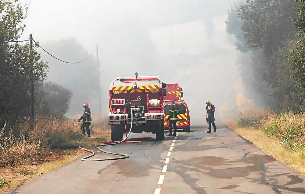 Incendie : la forêt de Brocéliande en proie aux flammes