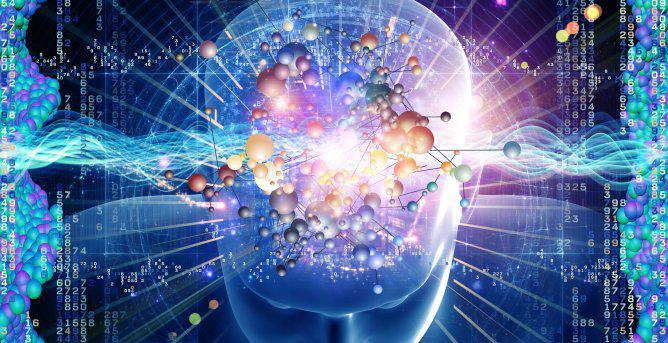 Tout savoir sur le cerveau du 16 au 22 mars 2015