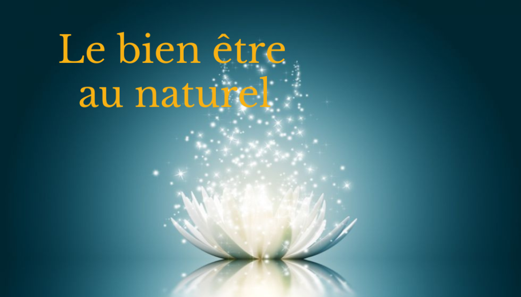 Découvrez le Blog Naturo pour trouver des solutions gratuites à vos problèmes de santé et adopter un bien-être naturel au quotidien !