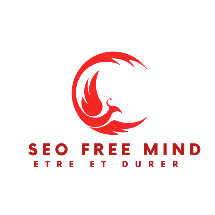 Consultant SEO Bordeaux : Andreiuolo Francesco
