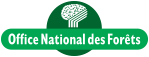 Actu - Trophées #jagispourlaforêt, un concours pour les jeunes engagés en faveur de la forêt