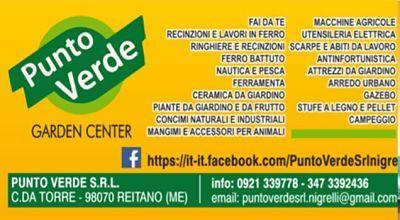 Punto Verde srl