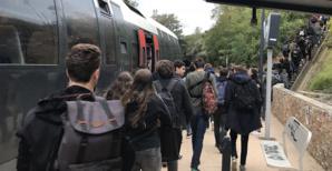 Hyacinthe Vanni : « L’EPIC nous donne la maîtrise publique et complète du train en Corse »