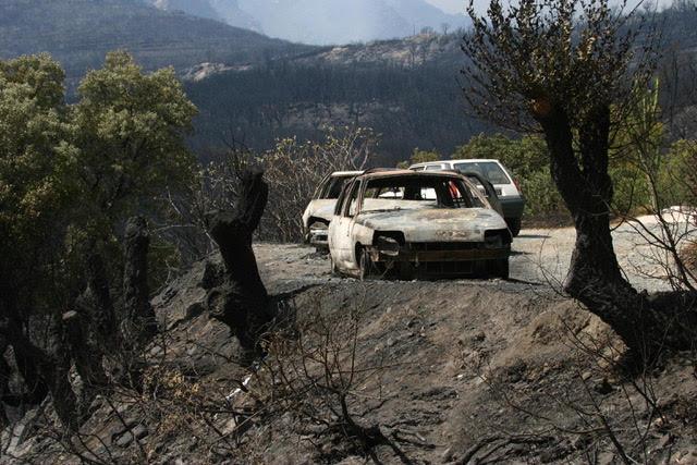 31 août 2003 à Santa Maria di Lota : un énorme brasier de la montagne à la mer 31 août 2003 à Santa Maria di Lota : un énorme brasier de la montagne à la mer