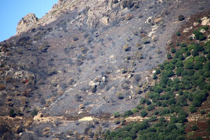 Santa-Reparata-di-Balagna : inquiétudes sur un risque d’éboulement après l’incendie de juillet Santa-Reparata-di-Balagna : inquiétudes sur un risque d’éboulement après l’incendie de juillet