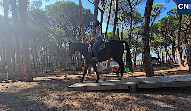 Le succès pour le 2e "MountainTrail" dans la pinède de Calvi Le succès pour le 2e "MountainTrail" dans la pinède de Calvi