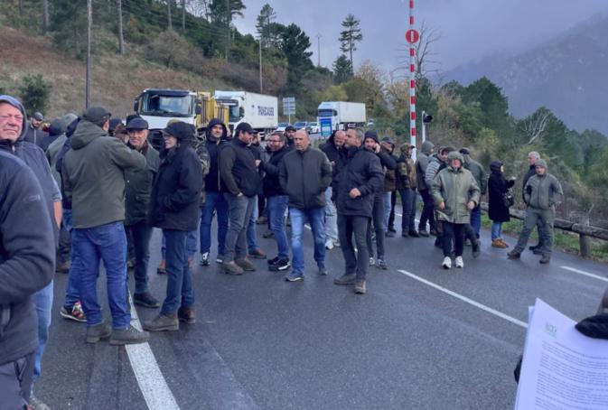 Vivario : L'Interprofession laitière ovine caprine corse se mobilise Vivario : L'Interprofession laitière ovine caprine corse se mobilise