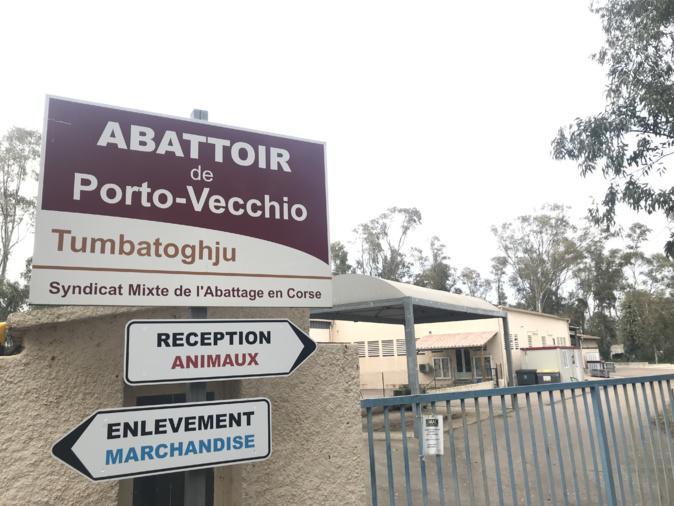 Abattre des porcs à Porto-Vecchio ? "Ca nous changerait la vie", espèrent les éleveurs de la microrégion Abattre des porcs à Porto-Vecchio ? "Ca nous changerait la vie", espèrent les éleveurs de la microrégion