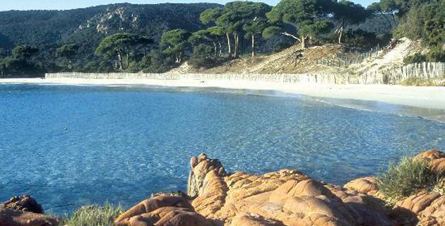 Palombaggia dans le top 100 des plus belles plages du monde  Palombaggia dans le top 100 des plus belles plages du monde