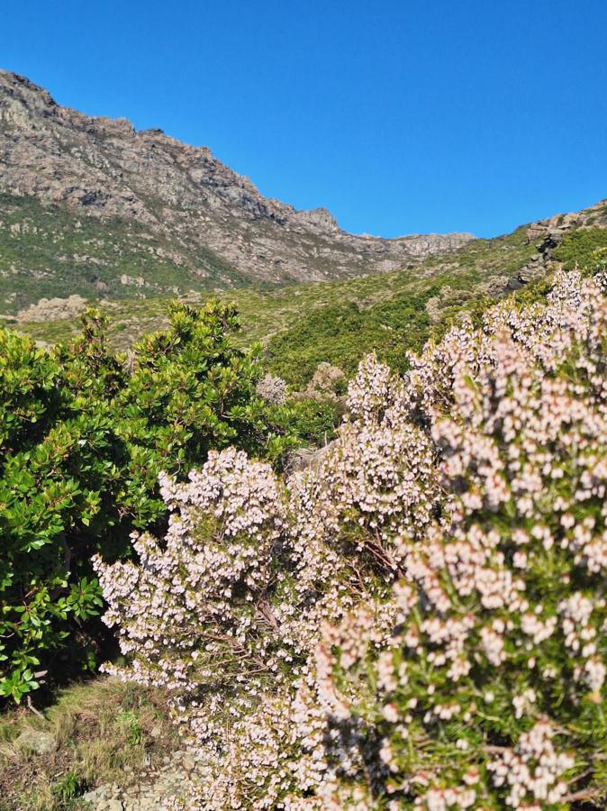 La météo du jour en Corse