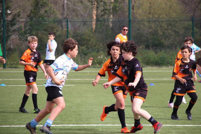 Rugby - Un week-end pascal complètement ovale à Porto-Vecchio Rugby - Un week-end pascal complètement ovale à Porto-Vecchio