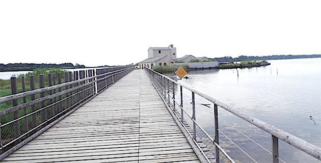 Biguglia : 3 000 litres d’hydrocarbures se répandent dans la zone industrielle de Tragone et menacent l'étang Biguglia : 3 000 litres d’hydrocarbures se répandent dans la zone industrielle de Tragone et menacent l'étang